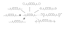 Proflavine Derivative Scheme