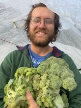 Holding an armful of broccoli after harvest 