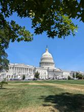 A photo of the U.S. Capitol building.