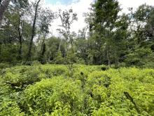 Fee-owned Property Woodlands Site