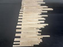 All 67 Individual Samples