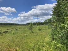 Photo of Fox Fen, Adirondacks, NY