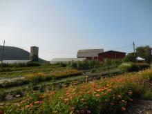 Gardenworks Farm LLC