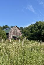 The view of the Birdsfoot barn from the road