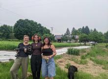 littleGrasse Foodworks