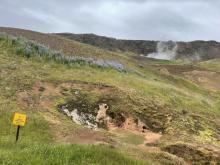 Ella&#039;s Internship Image