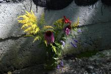 Dying Flowers