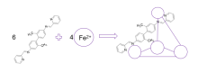 Nitrogen-based organic ligand with methyl substituients reacting via addition and self assembly to Iron (II) core