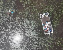 Aeriel view of research boat and researcher in water chestnut-invaded water.