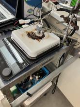 An electrochemical cell equipped with electrodes attached to a potentiostat. 
