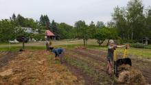 The three SLU interns mulching littleGrasse's Front Range field.