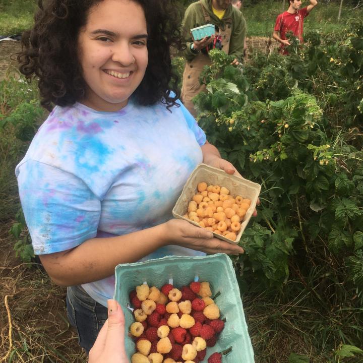 A woman holding a box of yellow raspberries