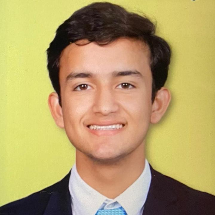 Vladimir E. Iglesias