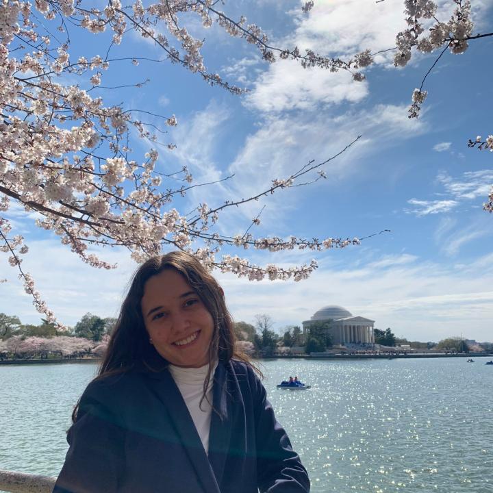 In my visit to Washington DC