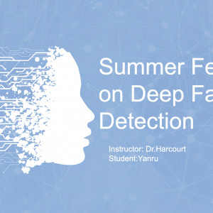 Summer Fellowship on Deep Fake Detection